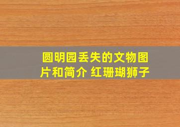 圆明园丢失的文物图片和简介 红珊瑚狮子